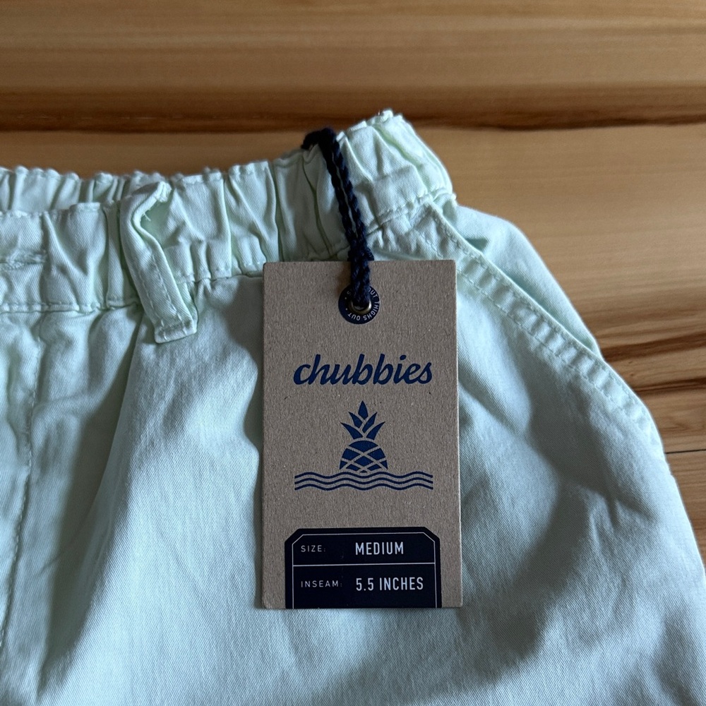 Chubbies Mint Green Casual Shorts - Picture 2 of 5